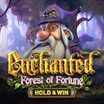 Enchanted: Forest Of Fortune - Hold & Win